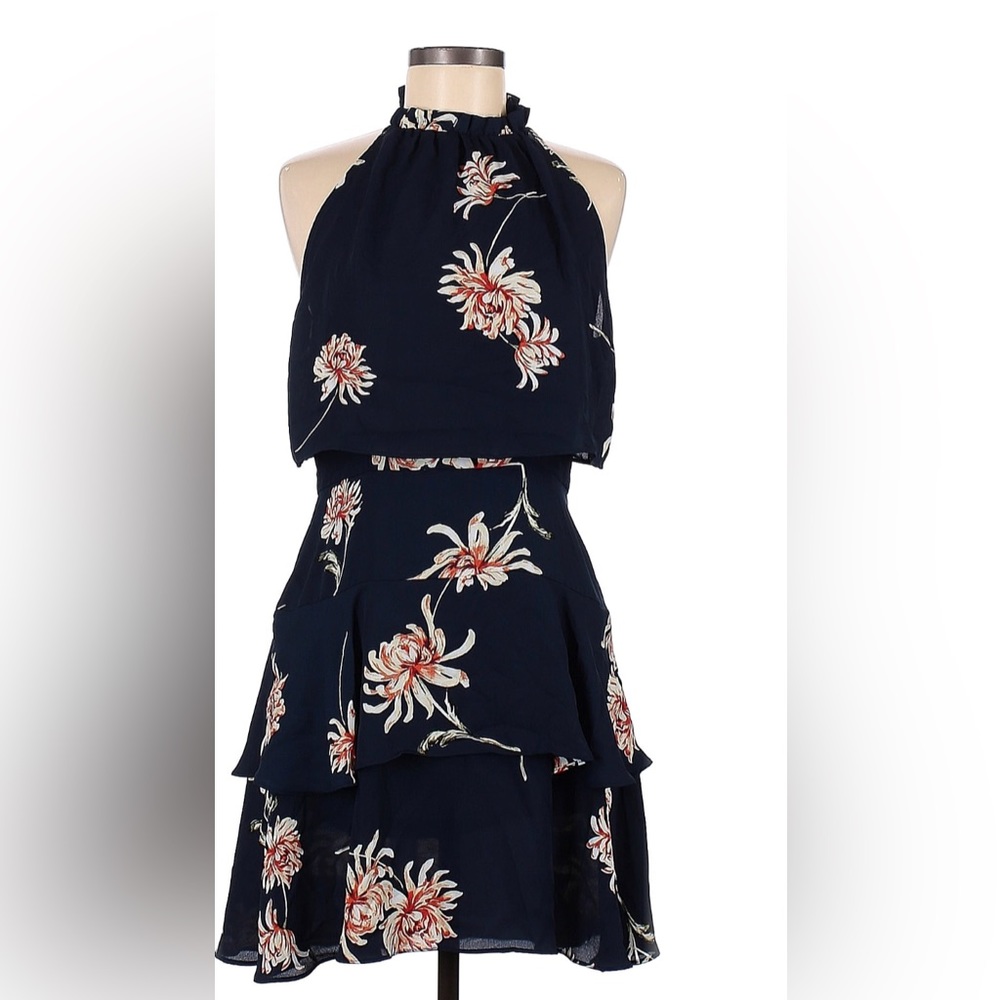 BB Dakota Dress